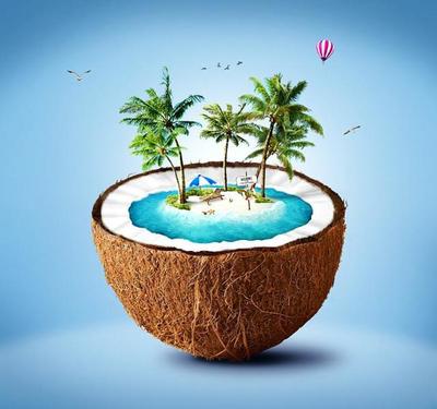 平面设计软件选择 PS、AI与CDR的各自舞台与应用偏好